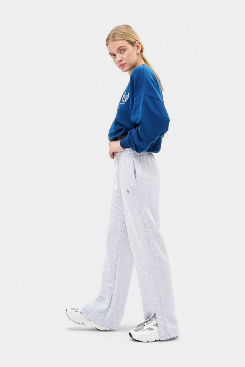 Сірі спортивні штани Elegance Straight GNZ